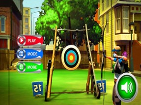 Archery Master Target Shooter Image