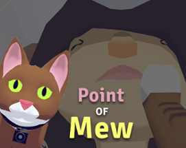 Point of Mew Image