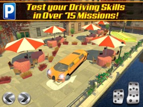 Limo Driving School a Valet Driver License Test Parking Simulator Image