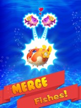 Merge Fish - Idle Tycoon Game Image