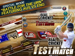 Real Cricket™ Test Match Image