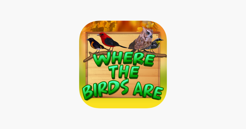 Where The Birds Are Game Cover