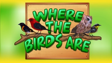 Where The Birds Are Image