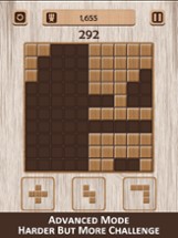 Classic Wooden Puzzle Image