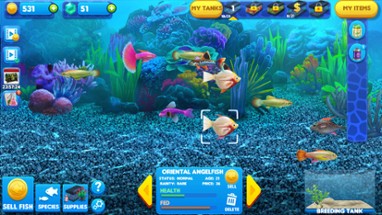 Fish Tycoon 2: Virtual Aquarium Image