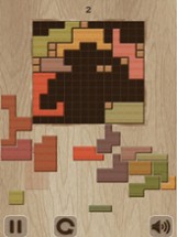 Big Wood Puzzle Image