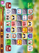 Onet Pet Animal Connect Image