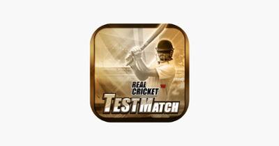 Real Cricket™ Test Match Image