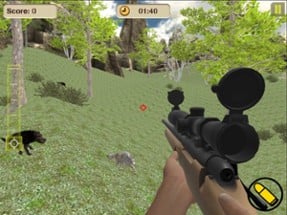 Wolf Hunter Sniper Shooting Image