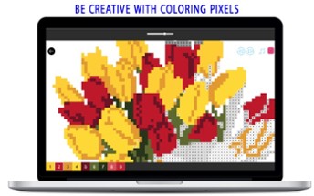 Coloring by Pixel Number Image