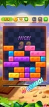 Drop Puzzle Drop Brick Image