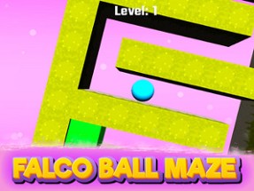 Falco Ball Maze Image