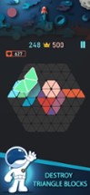 Trigon : Triangle Block Puzzle Image