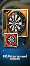 Darts Match Image