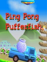 Ping Pong Pufferfish Image