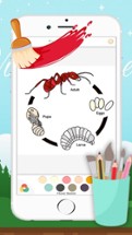 Ant Coloring Page Drawings Book for kids Image