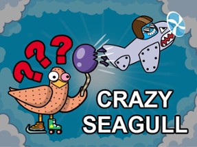 Crazy Seagull Image
