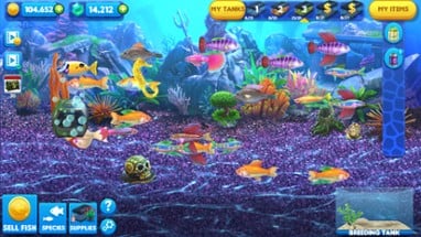 Fish Tycoon 2: Virtual Aquarium Image