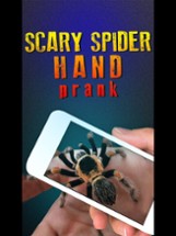 Scary Spider Hand Prank Image