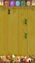 Funny Tap - Kill Ants Puzzle Image