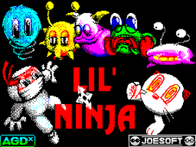 Lil' Ninja Image