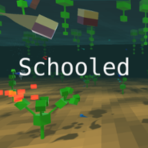 Schooled Image