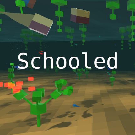 Schooled Game Cover