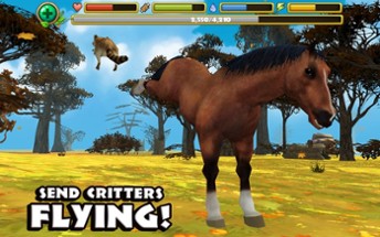 Wild Horse Simulator Image