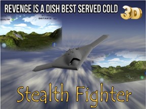 Stealth Fighter - Sky Legend Image