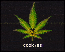 Cookies Image