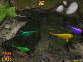 Fish for Cats: 3D fishing game for cats Image