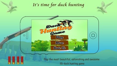 Duck Hunting 3D Image
