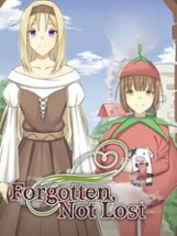 Forgotten, Not Lost Steam CD Key Image