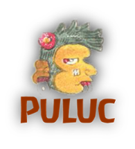 Pluluc Image