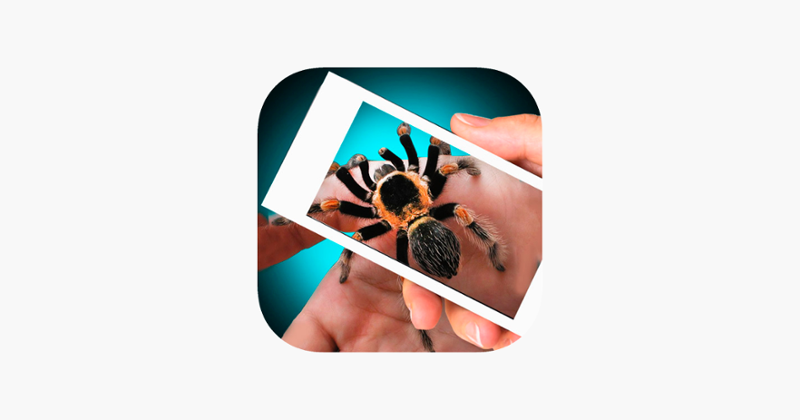 Scary Spider Hand Prank Game Cover