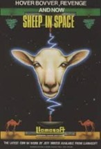 Sheep In Space Image