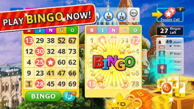 Bingo Craze Image