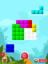Block Puzzle Free Game Real Image