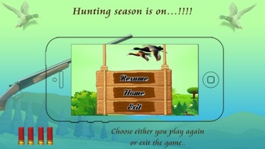 Duck Hunting 3D Image