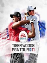 Tiger Woods PGA Tour 11 Image