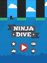 Ninja Dive Image