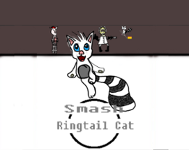 Smash Ringtail Cat (2018) Image