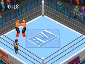 Super Fire Pro Wrestling Image