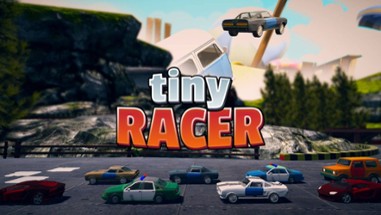 Tiny Racer Image