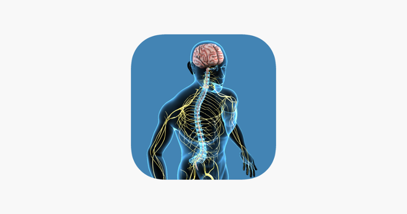 Nervous System Quizzes Game Cover