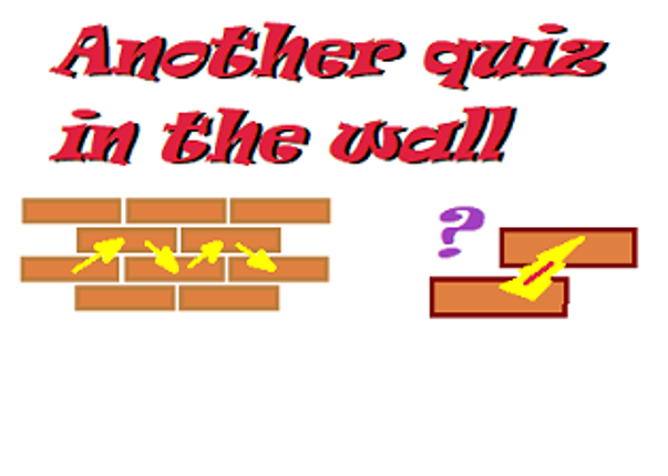 Another quiz in the wall Game Cover