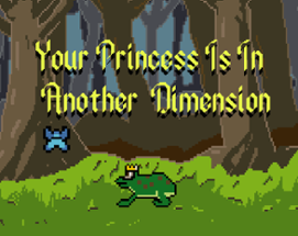Your Princess Is In Another Dimension Image