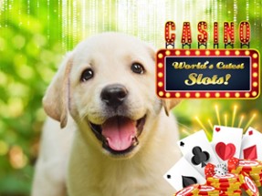 Lucky Pup Wild Casino Image