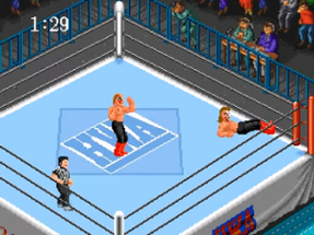 Super Fire Pro Wrestling Image