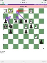 Mate in 1 move (Chess Puzzles) Image